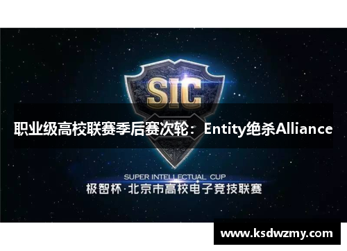职业级高校联赛季后赛次轮：Entity绝杀Alliance